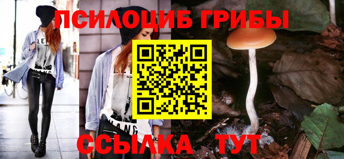 Псилоцибиновые грибы Psilocybine cubensis Ивантеевка