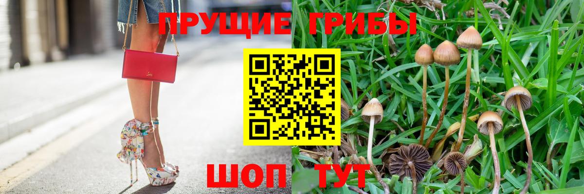 Ивантеевка  Галлюциногенные грибы Psilocybe  где можно купить наркотик  Вход с VPN  Псилоцибиновые грибы мухоморы 